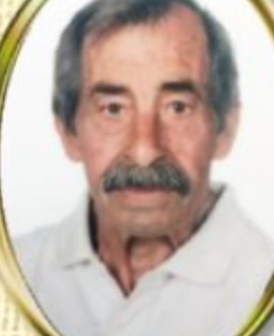 Michele  Di Napoli