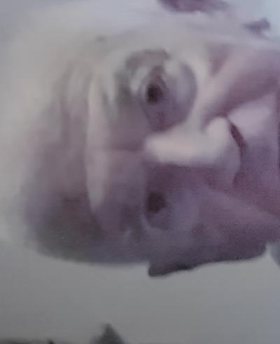 Umberto Tommaso Romano